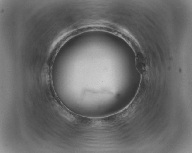 X0000080731360200612151213