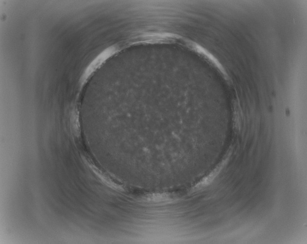 X0000080731362200612151213