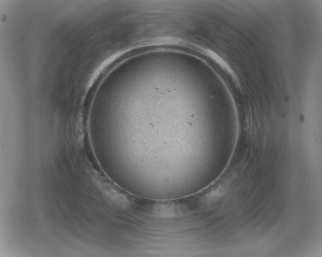 X0000080731364200612151213