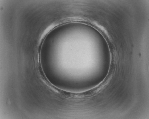 X0000080731365200612151213