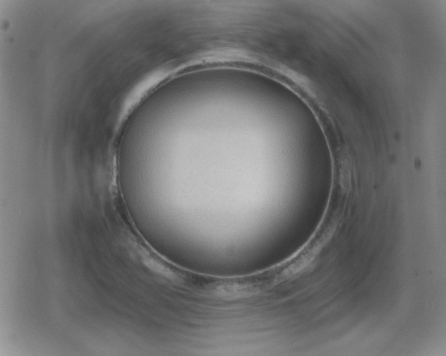 X0000080731366200612151213