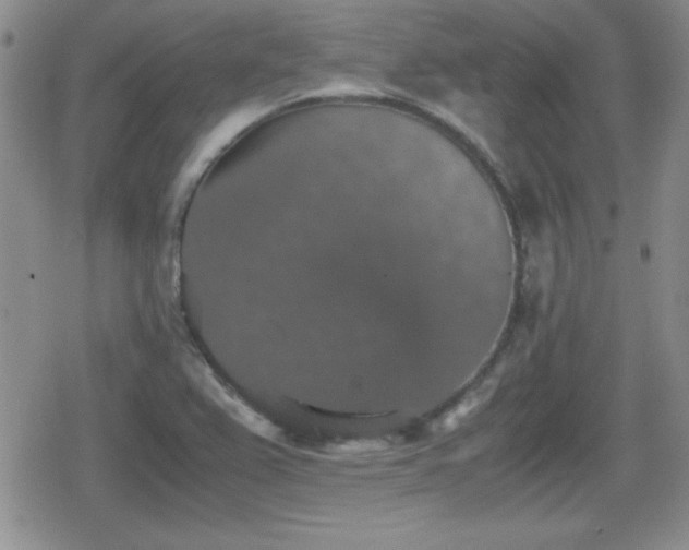 X0000080731367200612151213