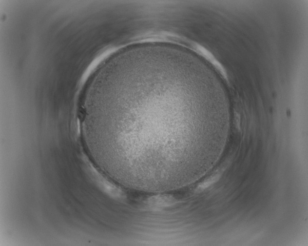 X0000080731368200612151213