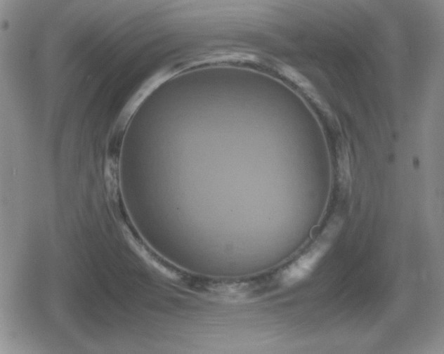 X0000080731369200612151213