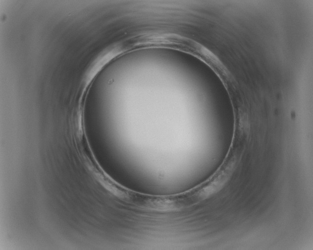 X0000080731370200612151213