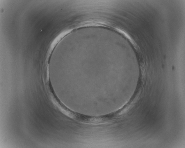 X0000080731371200612151213