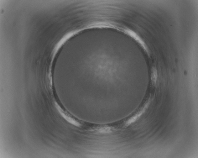 X0000080731372200612151213