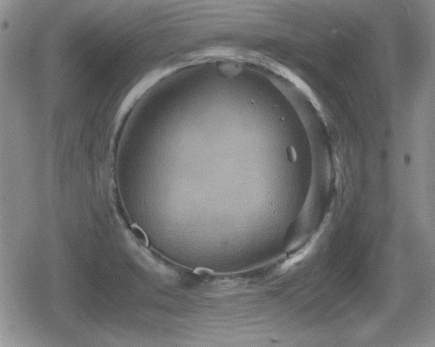 X0000080731373200612151213