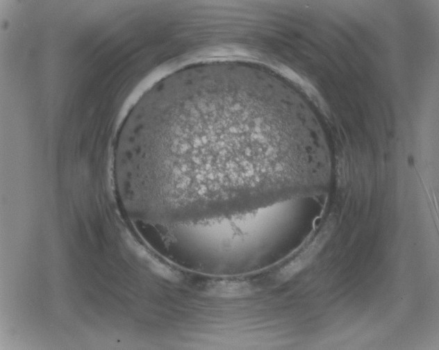 X0000080731374200612151213