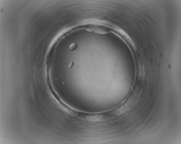 X0000080731376200612151213