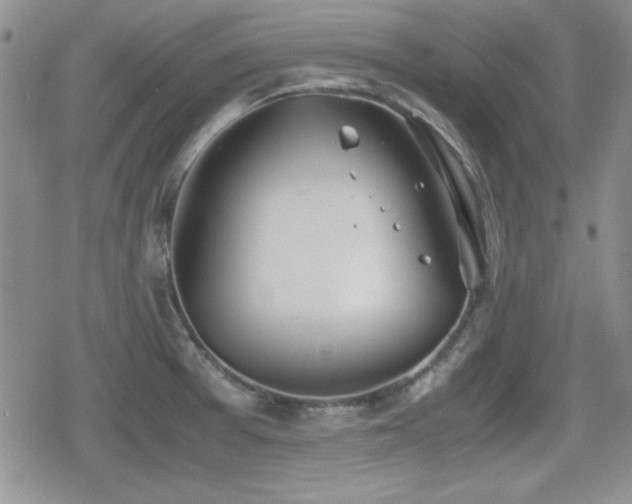 X0000080731377200612151213