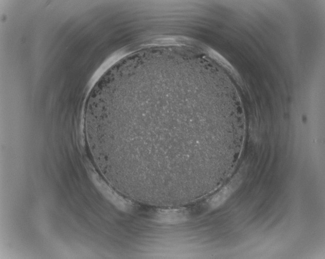 X0000080731378200612151213