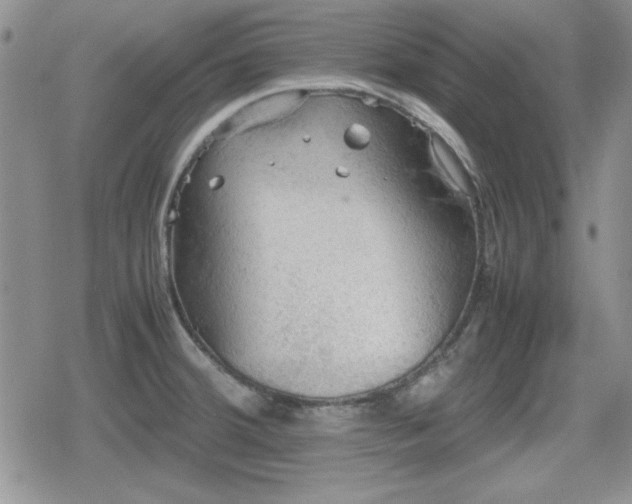 X0000080731380200612151213