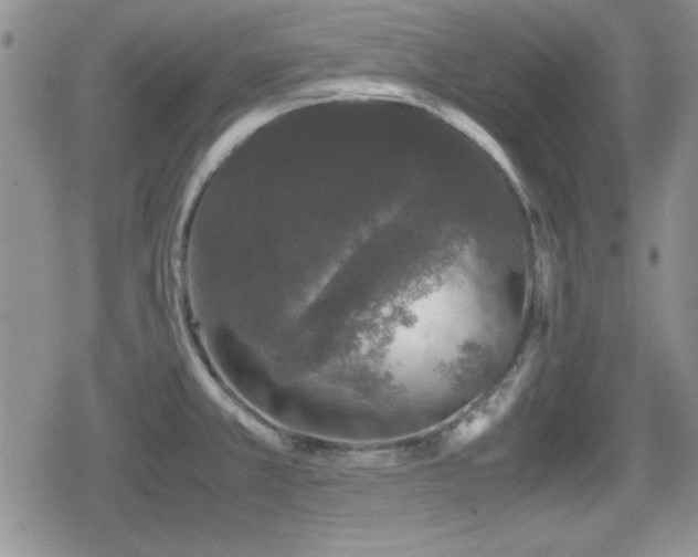 X0000080731381200612151213