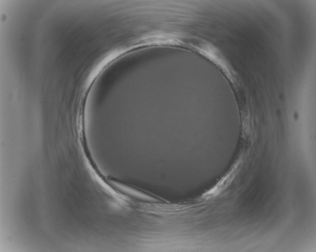 X0000080731383200612151213