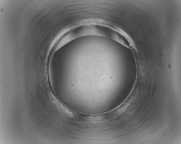 X0000080731384200612151213