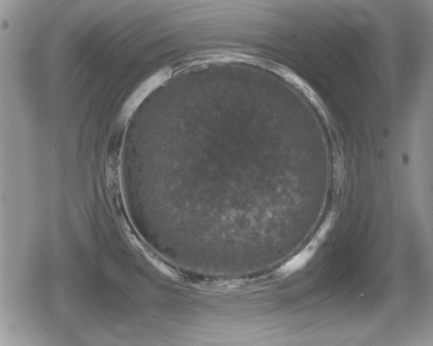 X0000080731385200612151213