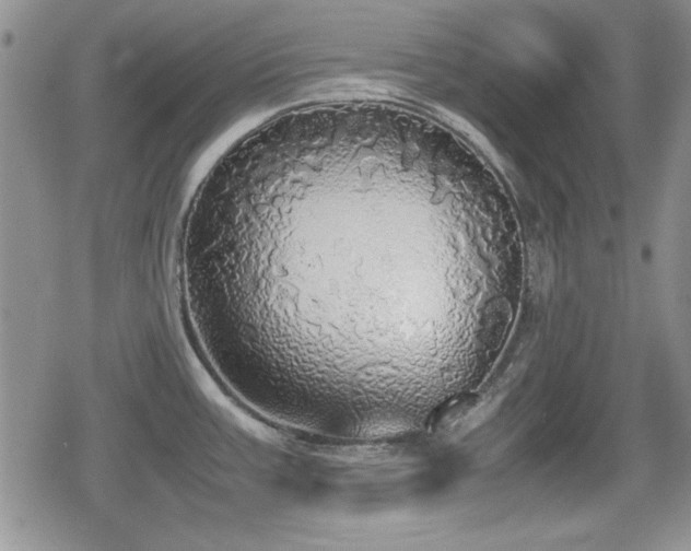 X0000080731387200612151213