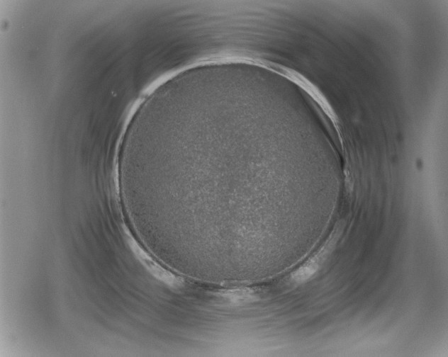 X0000080731388200612151213