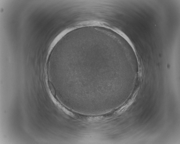 X0000080731389200612151213