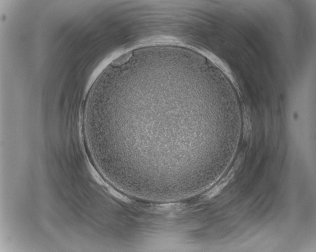 X0000080731390200612151213