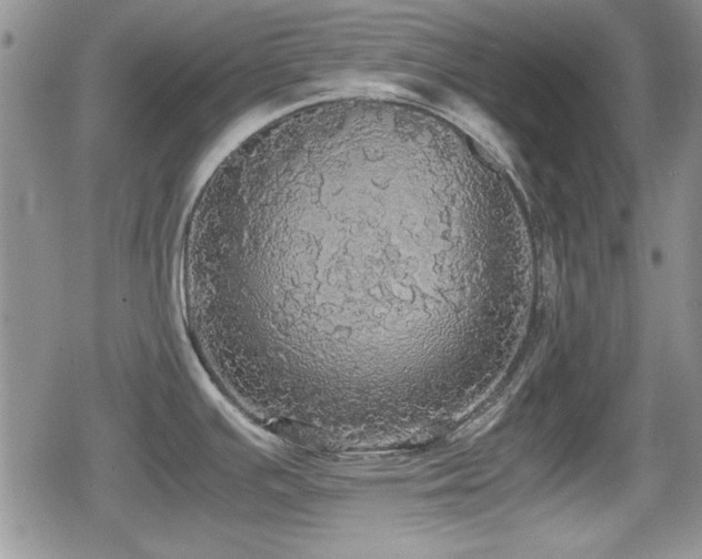 X0000080731391200612151213