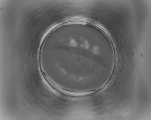 X0000080731392200612151213