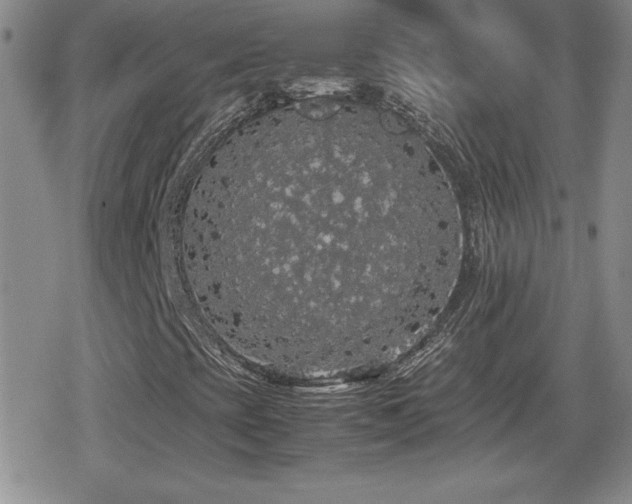 X0000080731393200612151212