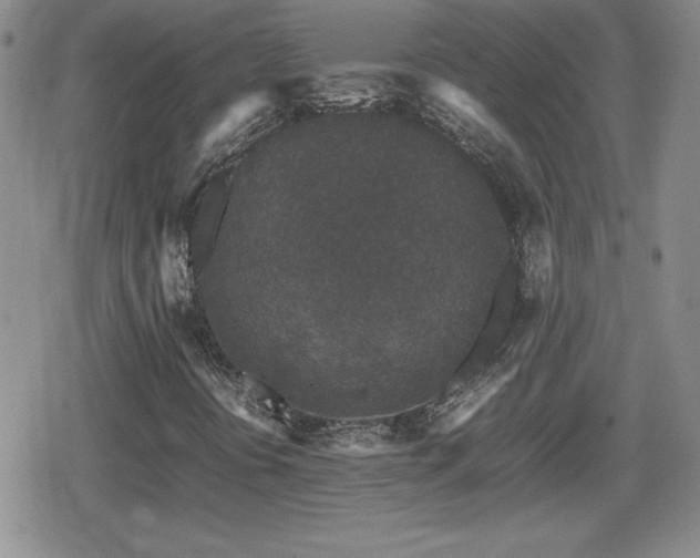 X0000080731394200612151212