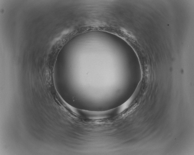 X0000080731398200612151212