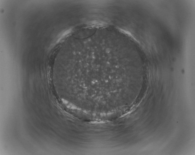 X0000080731399200612151212