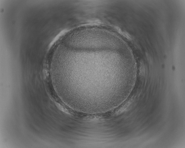 X0000080731400200612151212