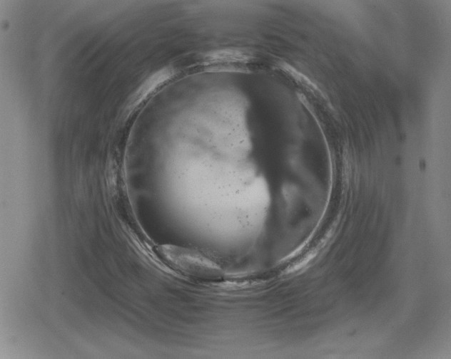 X0000080731401200612151212