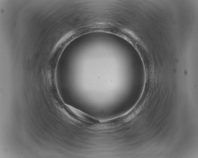 X0000080731402200612151212