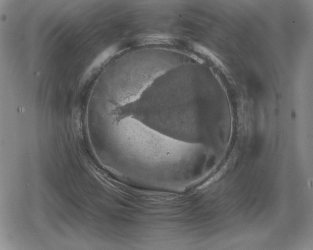 X0000080731403200612151212