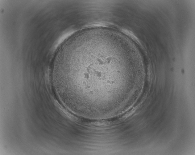 X0000080731404200612151212