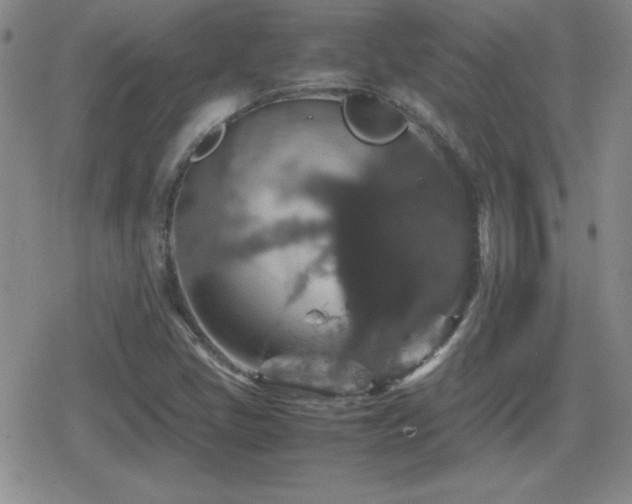 X0000080731405200612151212