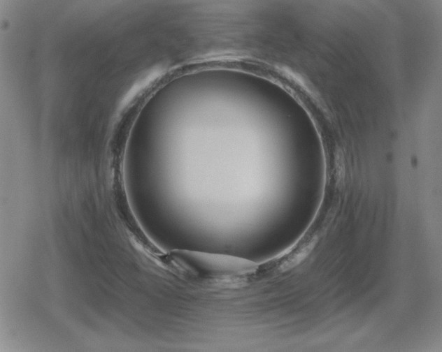 X0000080731406200612151212