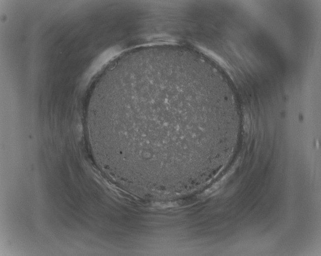 X0000080731407200612151212