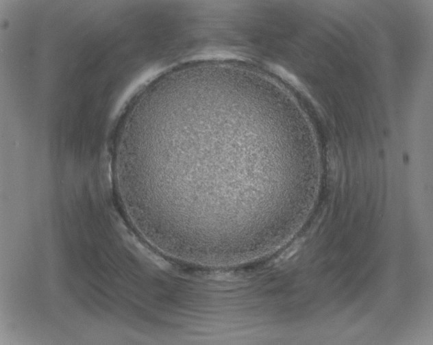 X0000080731408200612151212