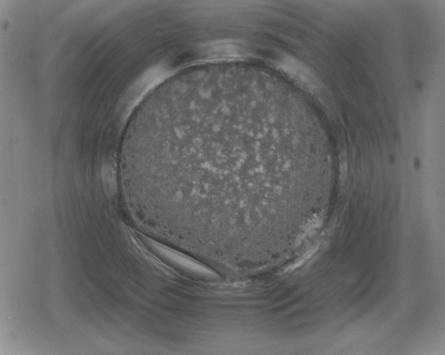 X0000080731409200612151212