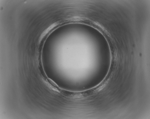 X0000080731410200612151212