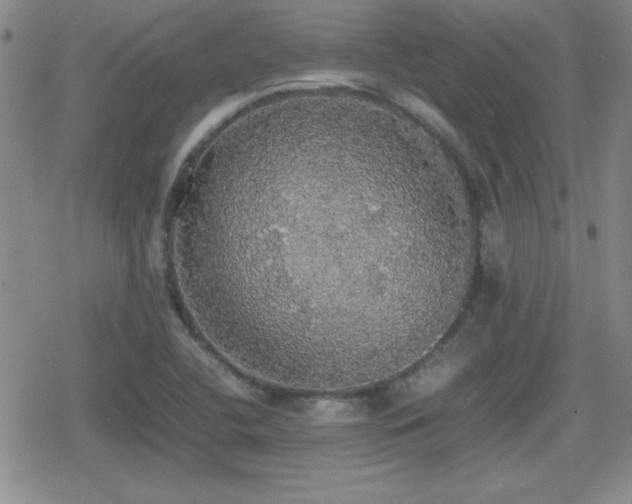 X0000080731412200612151212