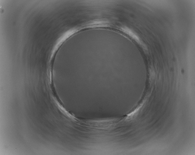 X0000080731413200612151212