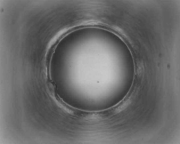 X0000080731414200612151212