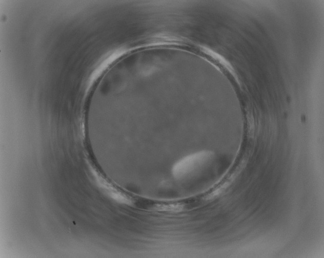 X0000080731415200612151212