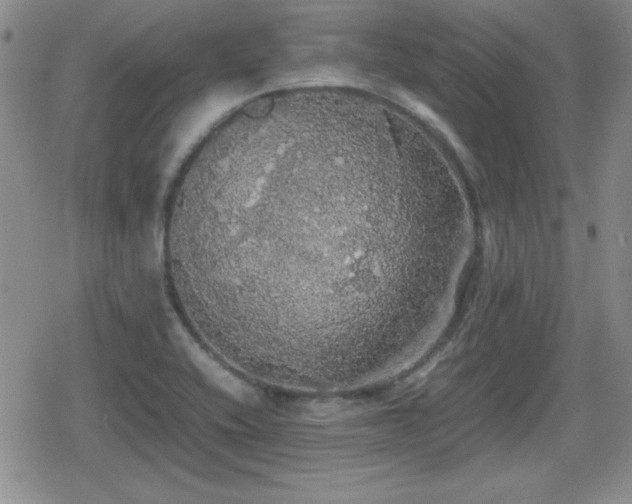 X0000080731416200612151212