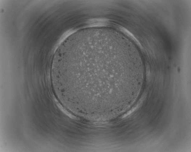 X0000080731417200612151212