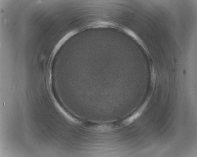 X0000080731418200612151212