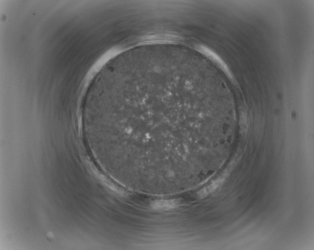 X0000080731419200612151212